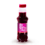 DOGAN AY Spicy Turnip Juice 300 ml
