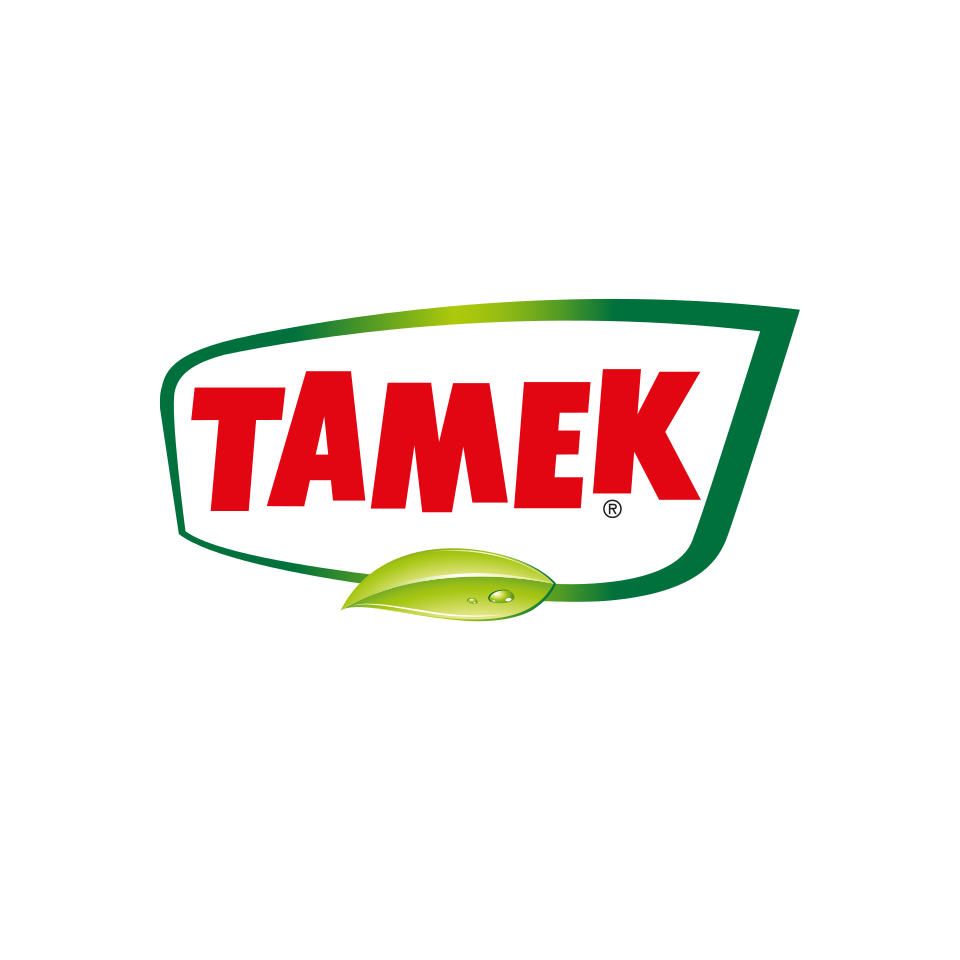 Tamek.logo .svg